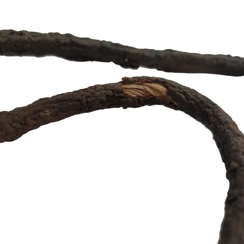 Bendable Brown Adjustable Faux Wood Branch for Reptile | Bearded Dragon Lizard
